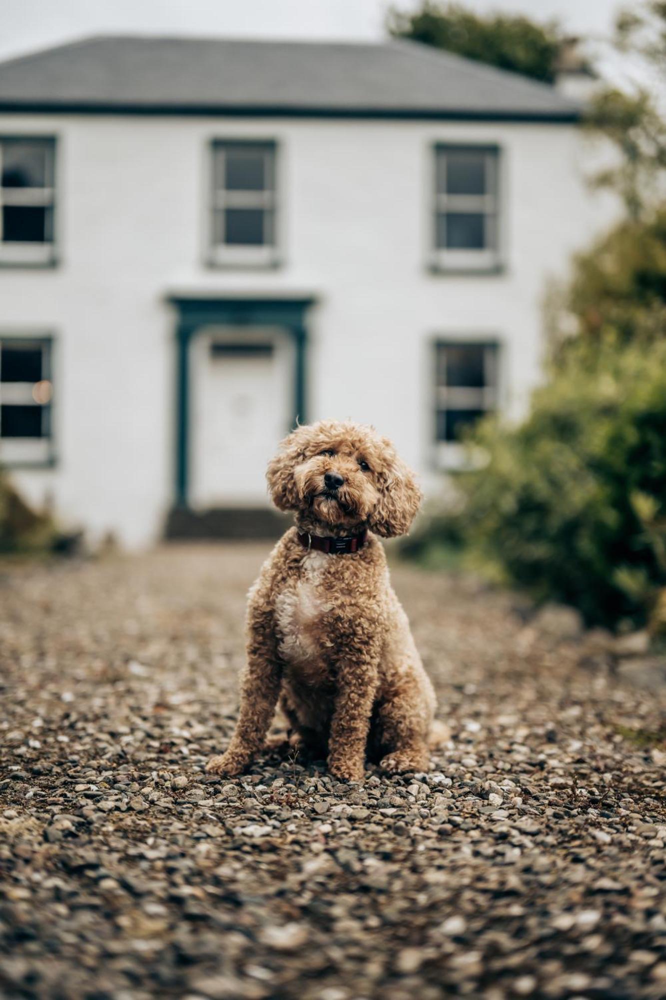 Rosebank House - 12 Guests, 6 Ensuite Bedrooms, Ev Point, Games Rooms, Wood Burner, Pet Friendly! Blairgowrie and Rattray Exterior photo